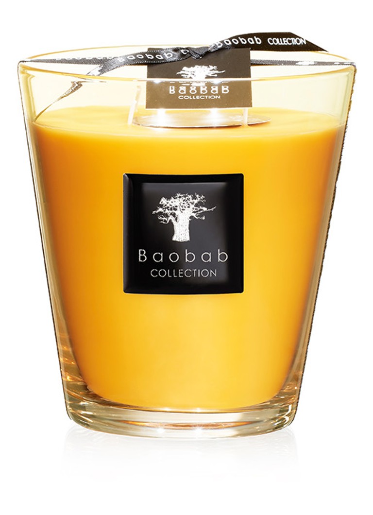 Baobab Collection Zanzibar Spices Africa Max 16 scented candles 1.1 kg