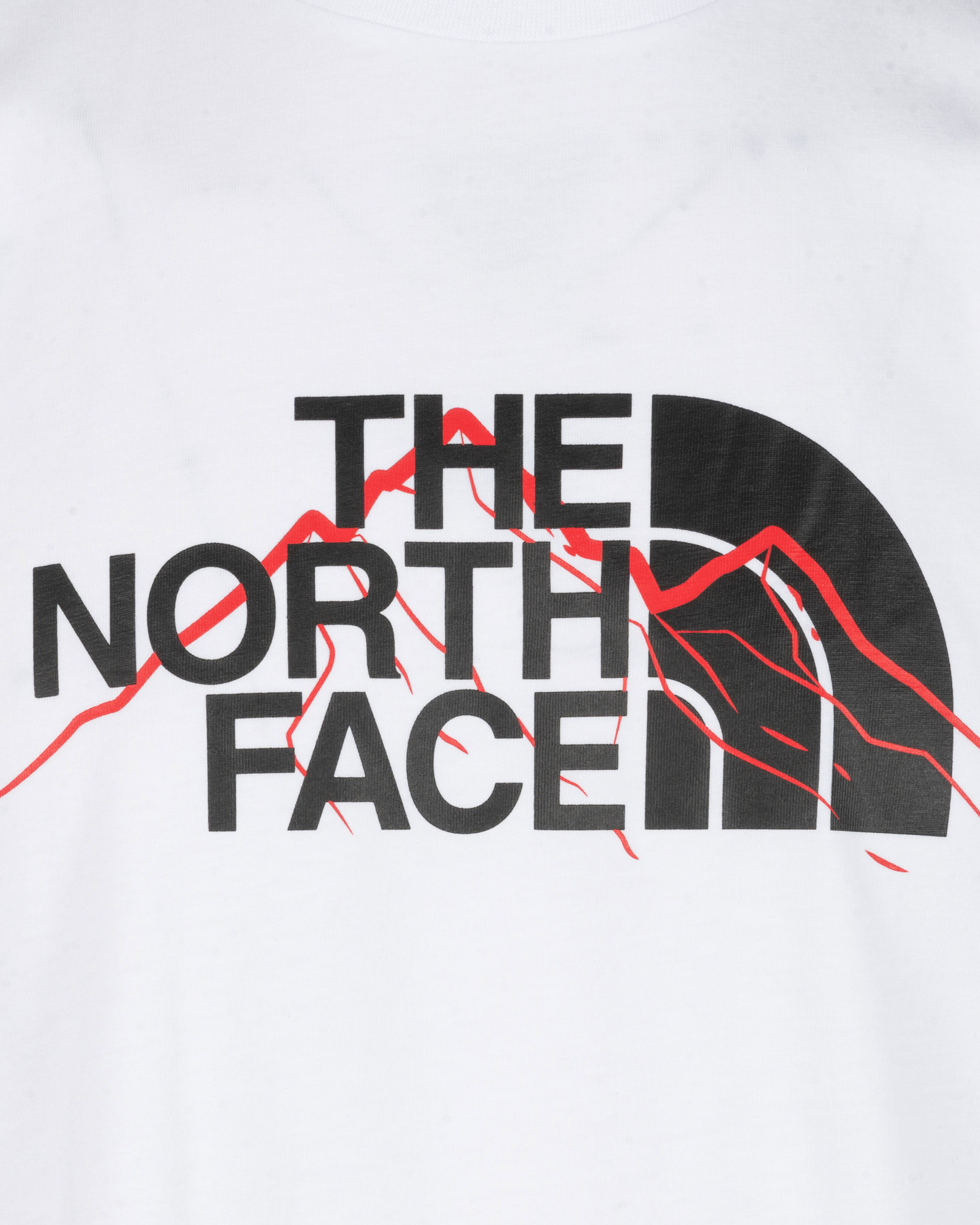 Tričko The North Face Mountain Line M NF0A8FM2FN41