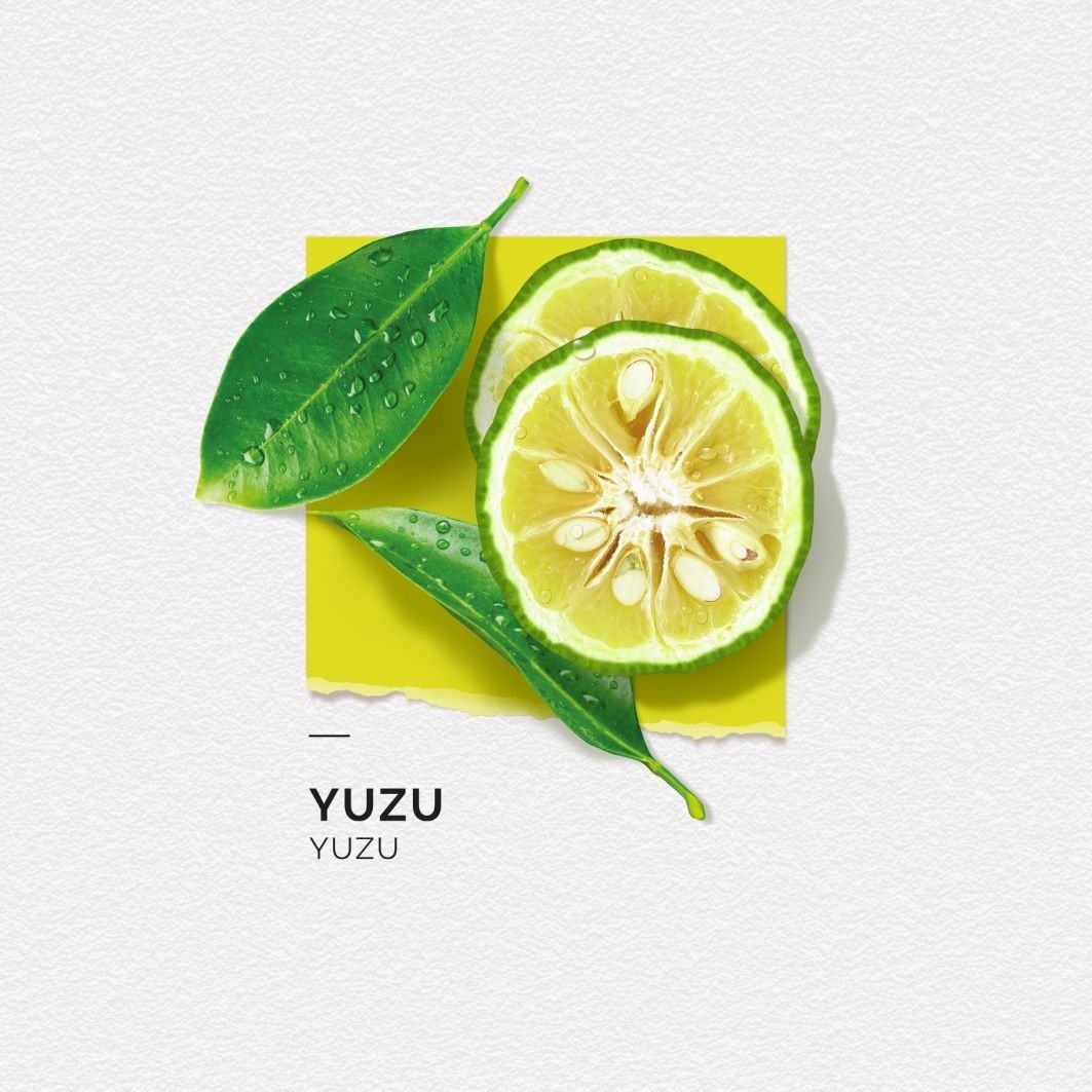 SOLINOTES Yuzu