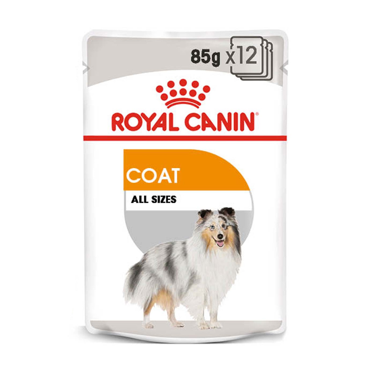 ROYAL CANIN COAT CARE Nassfutter für glänzendes Fell 12x85g