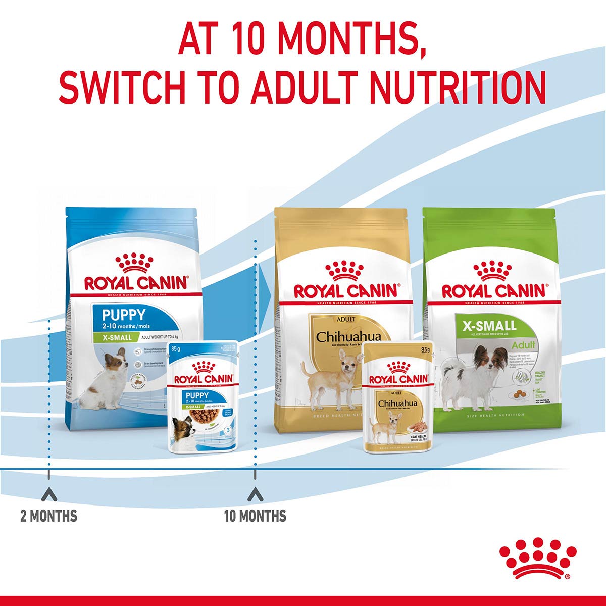 Royal Canin SHN X-Small Puppy Gravy günstig kaufen bei ZooRoyal