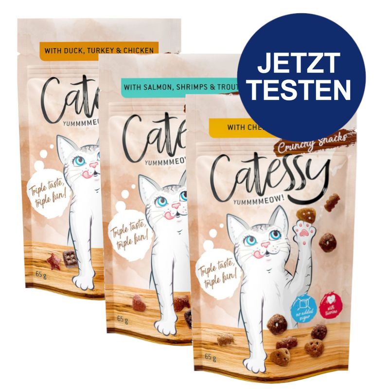 Probierpaket Catessy Knuspersnacks 3 x 65 g