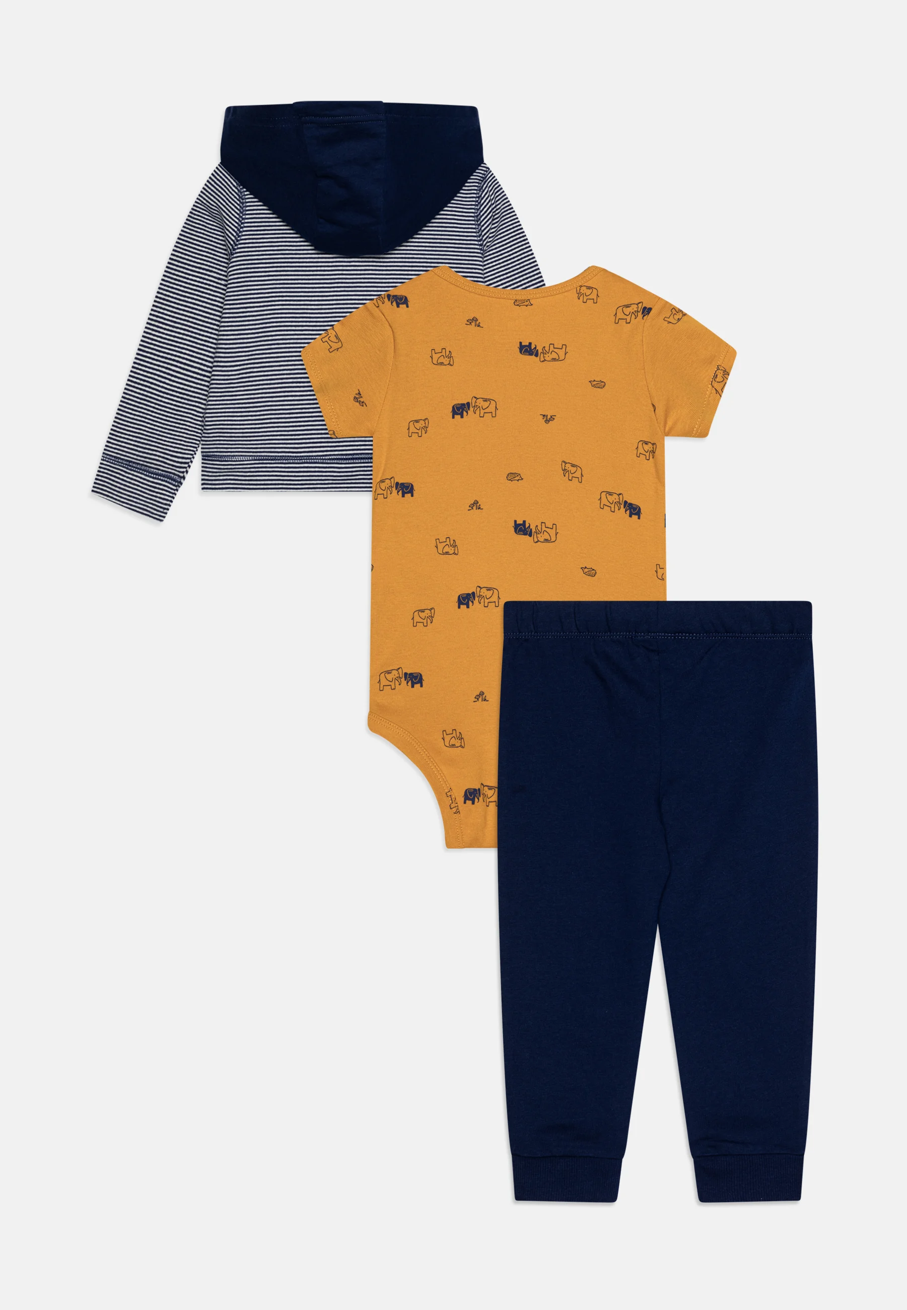 Conjunto CARDI de Carter - Cuerpo