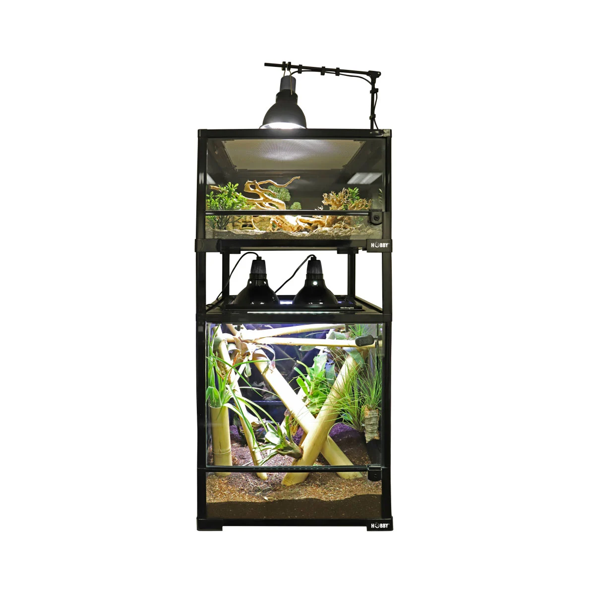 Hobby Faltterrarium Terra Fix & Easy günstig kaufen