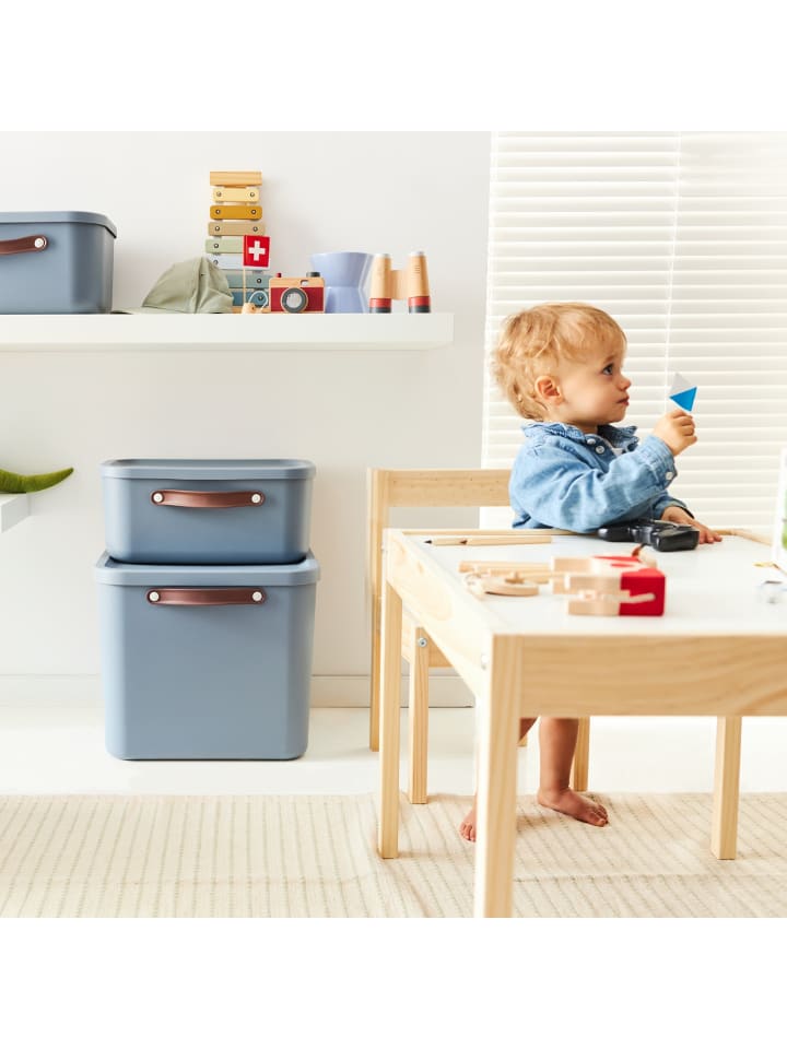 Rotho Aufbewahrungsbox mit Deckel 40 l MALOJA in Misty blau günstig kaufen onesize