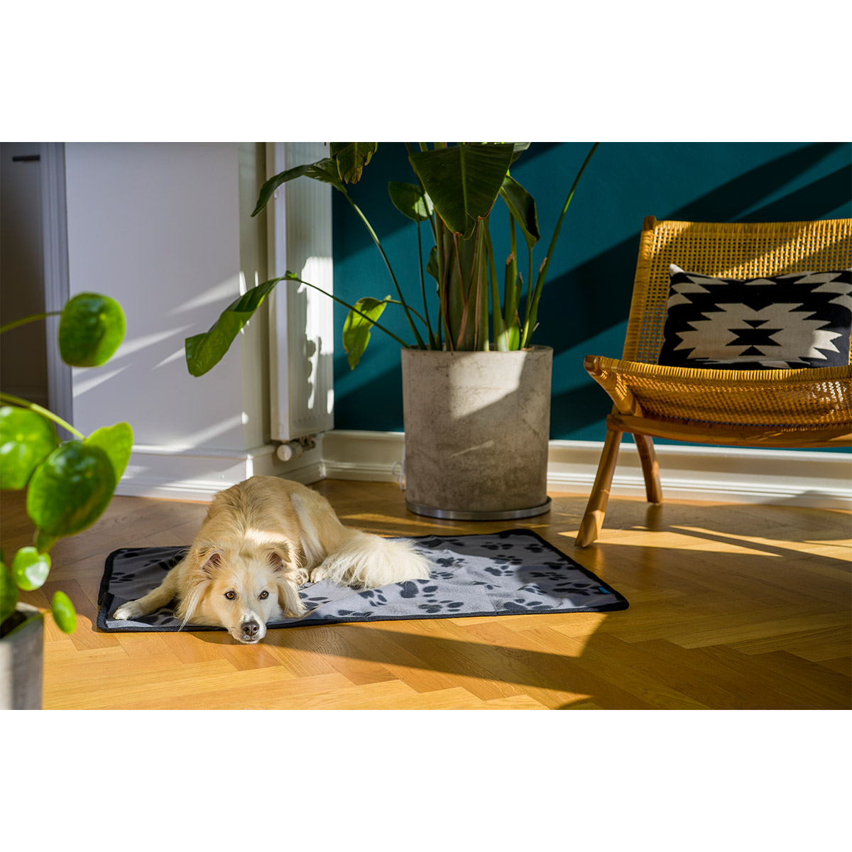 ZooRoyal Kuscheldecke Kali anthrazit günstig kaufen