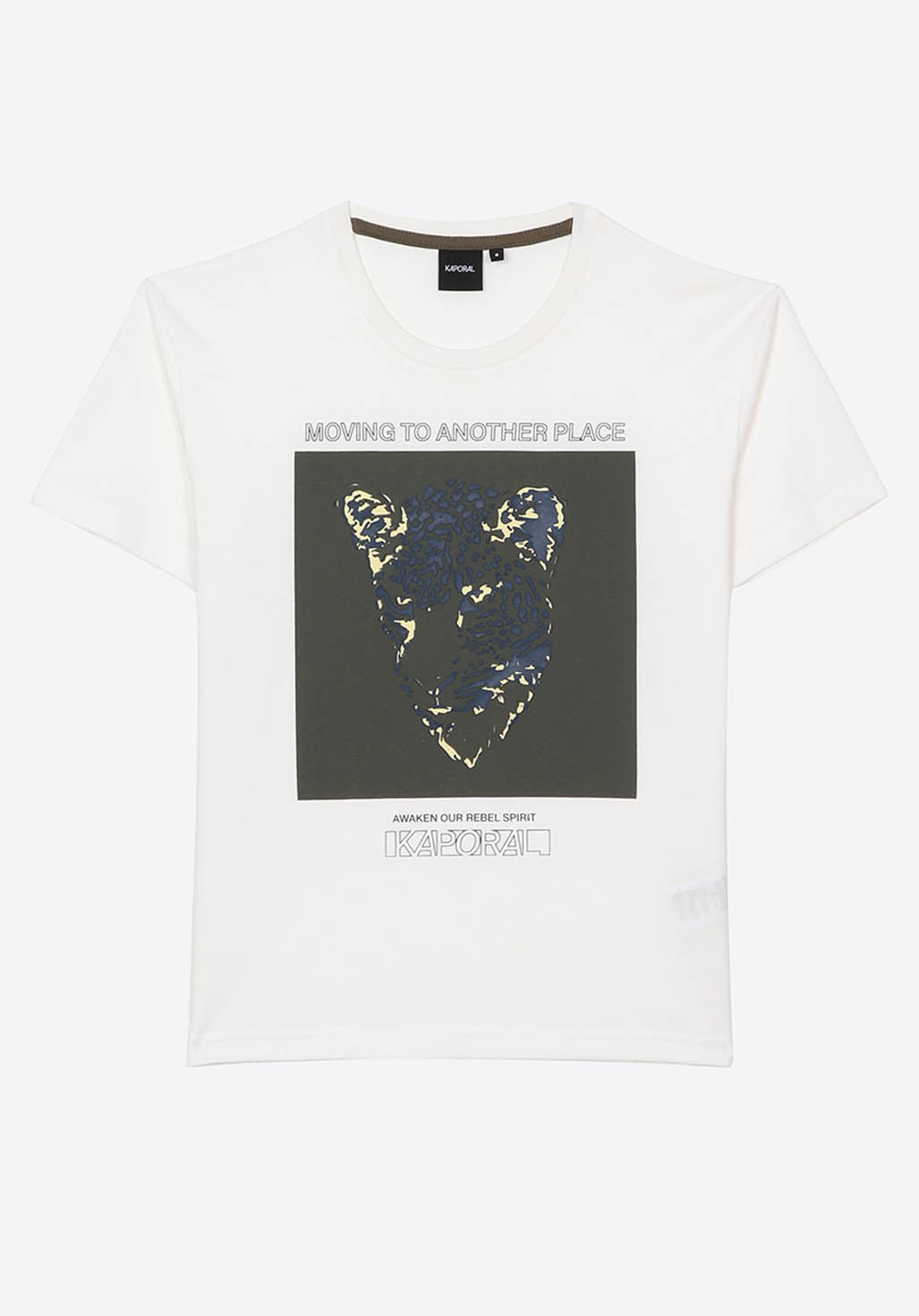 PONGA  T-shirt blanc tigre Garçon en 100% coton
