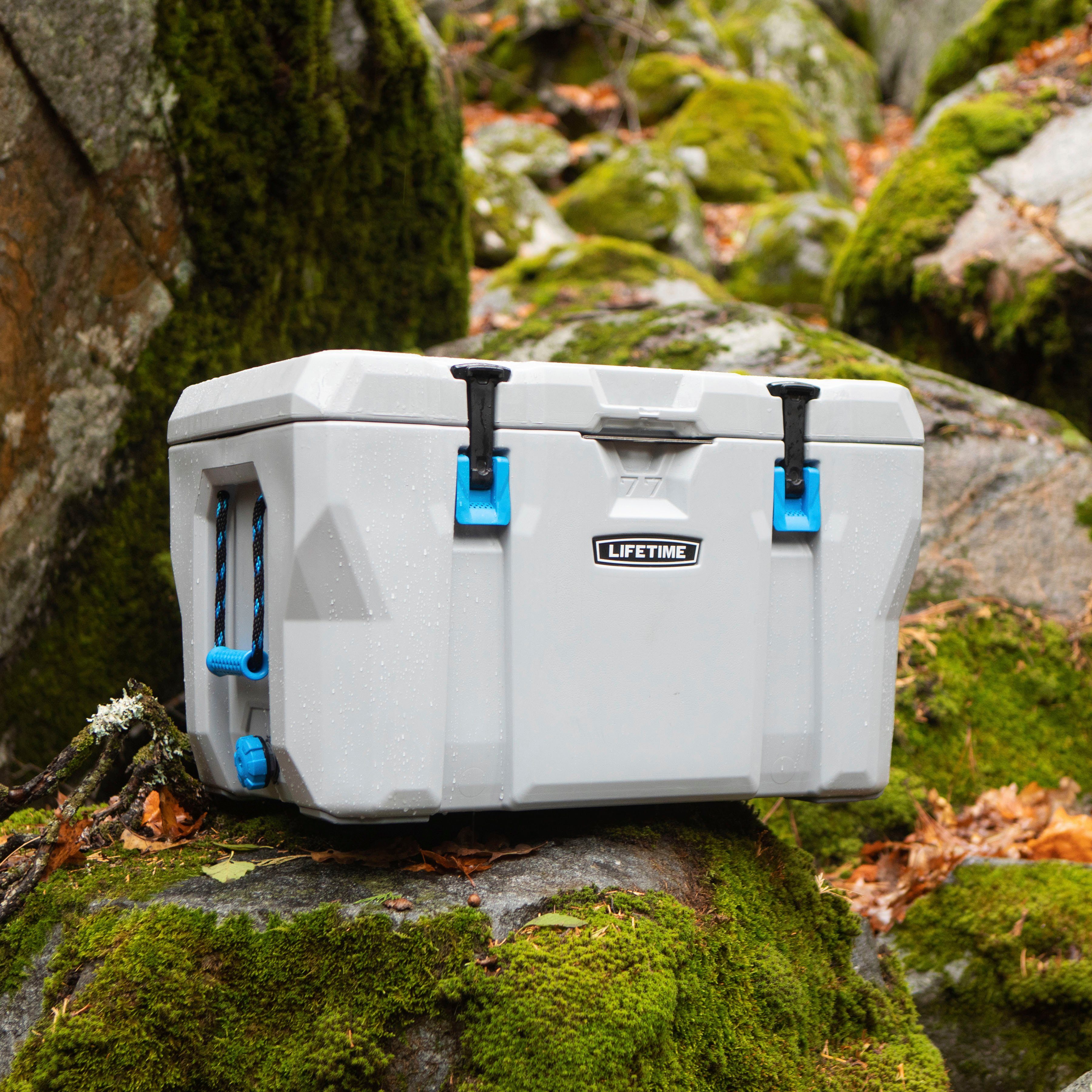 Lifetime Kühlbox Premium, 73 l, aus zweischichtigem Urethan