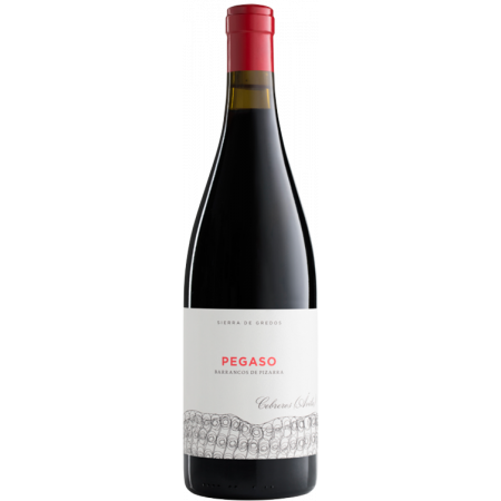 PIZARRA 2020 - PEGASO - TELMO RODRIGUEZ
