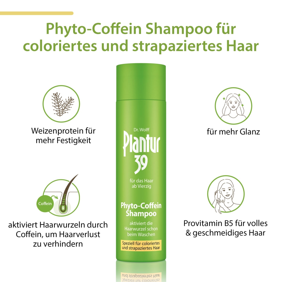 Shampoo Phyto-Coffein Coloriertes & Strapaziertes Haar, 250 ml
