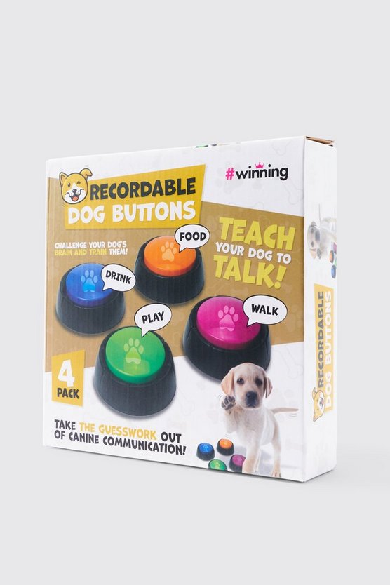 4er-Set aufnahmefähige Hundeknöpfe