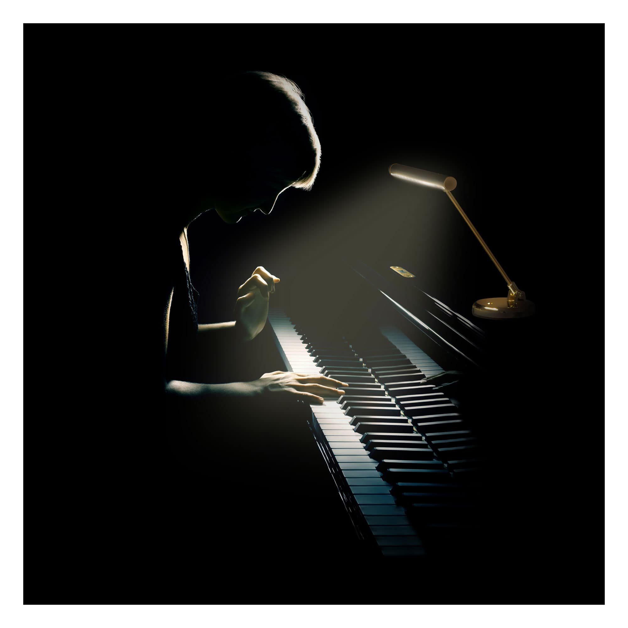 Showlite Digitalpiano PL-1WW LED Klavierleuchte, Klavierlampe mit 15 LEDs - warmweißes Licht in 2 Stufen