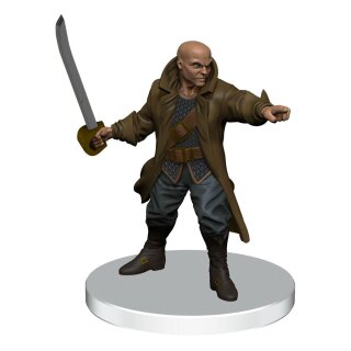D&D Icons of the Realms: Saltmarsh Miniaturen vorbemalt Box 1 (7)