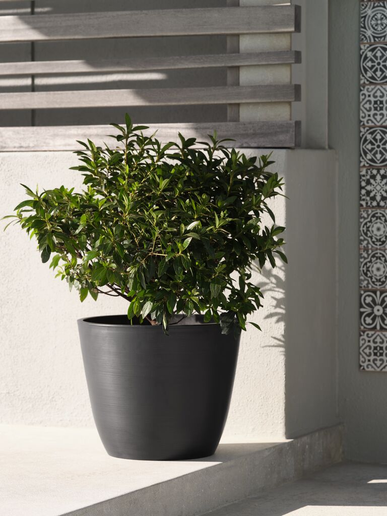 Vaso HVEPS HVEPS Ø53xW41 cinza