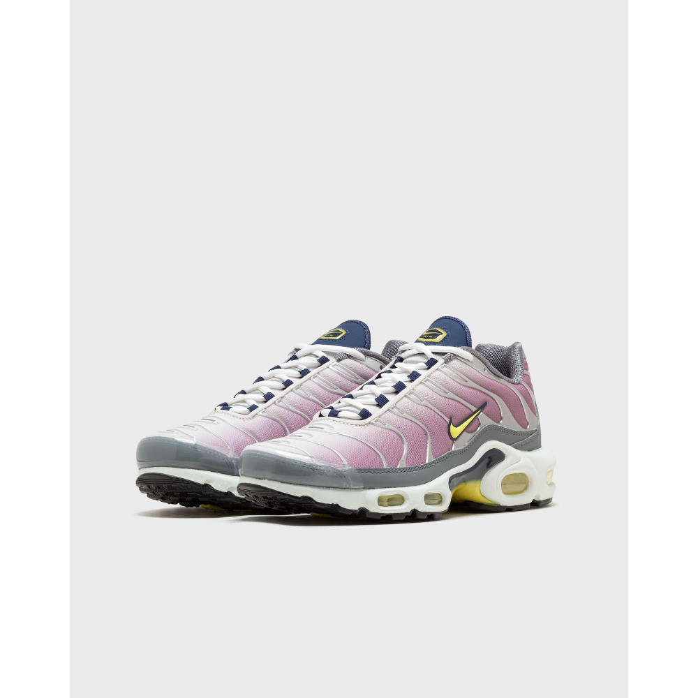 Nike Air Max Plus Violet Dust FN8007-500 / bunt