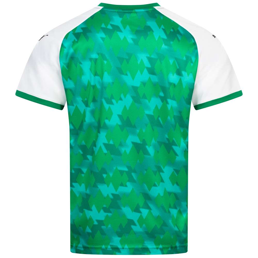 PUMA Herren Handball Trikot 764582-01
