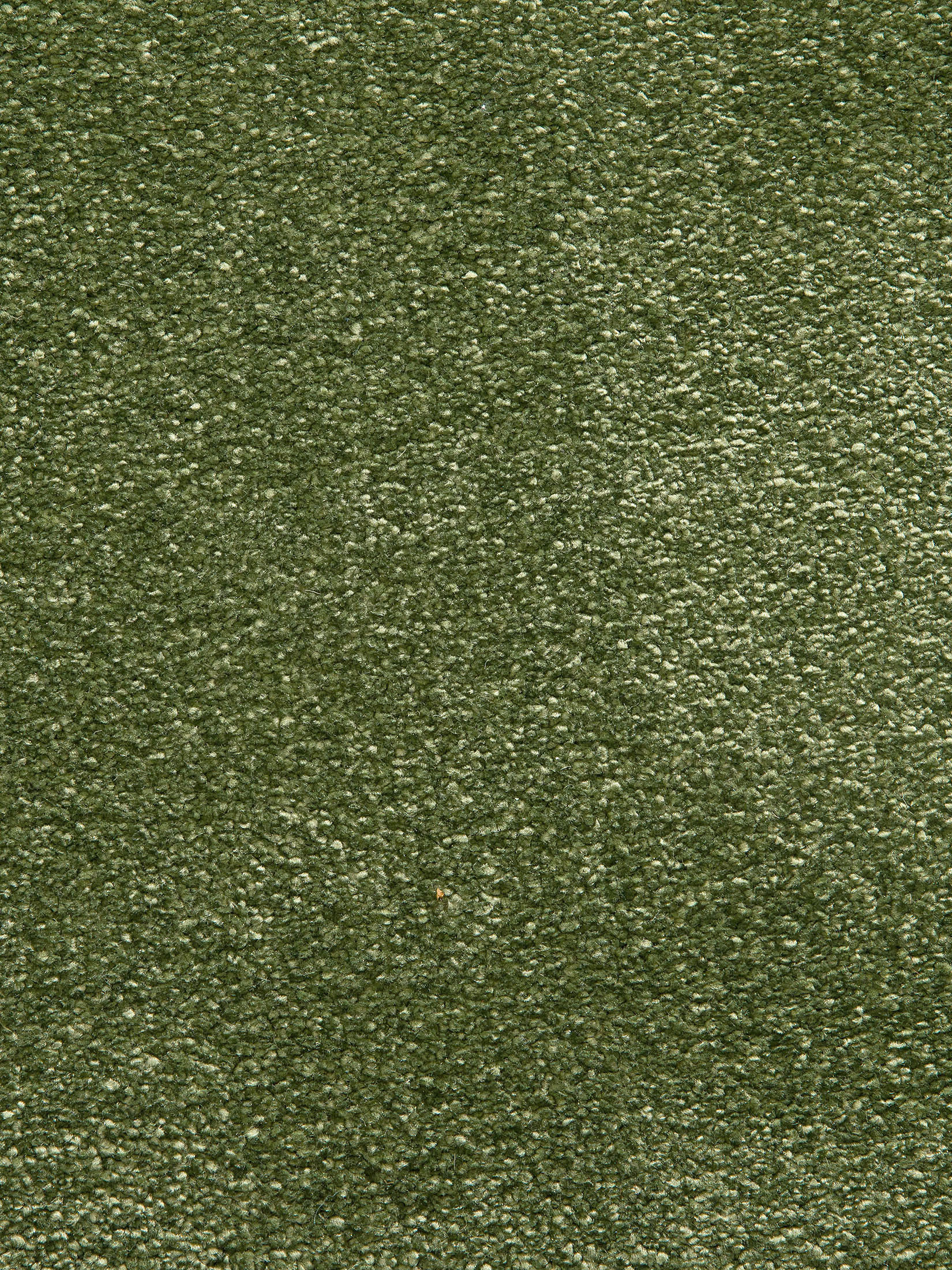 Sovereign Hochflor-Teppich, Forest