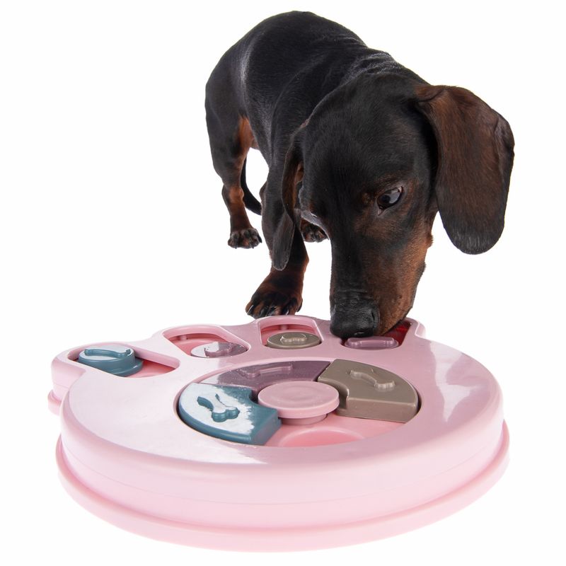 Intelligenzspielzeug Snack Paw zu TOP-Preisen
