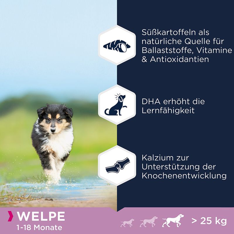 Eukanuba Grain Free Puppy Large Breed Huhn