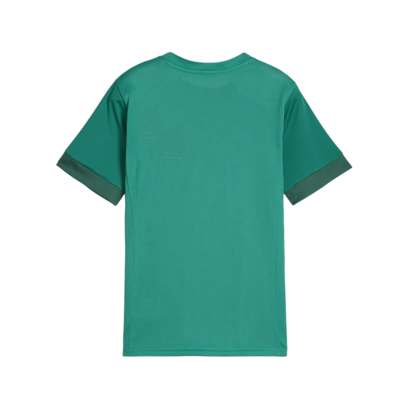 PUMA teamGOAL Matchday Trikot Kids Grün Weiss F05
