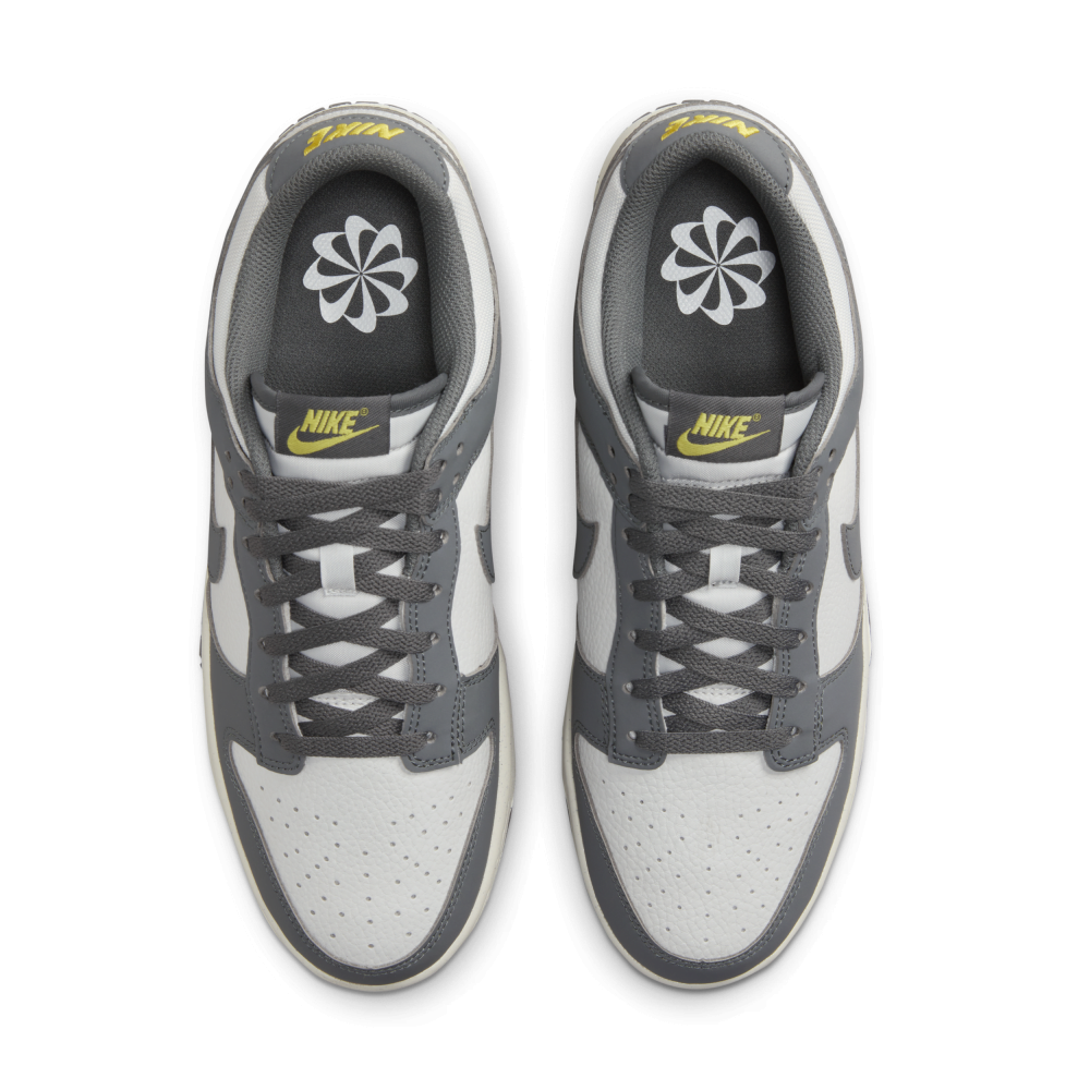 Nike Dunk Low Next Nature FZ4621-001 / grau