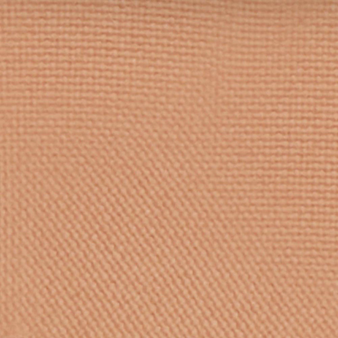 Cipria compatta Nude by Nature Perfect Complexion