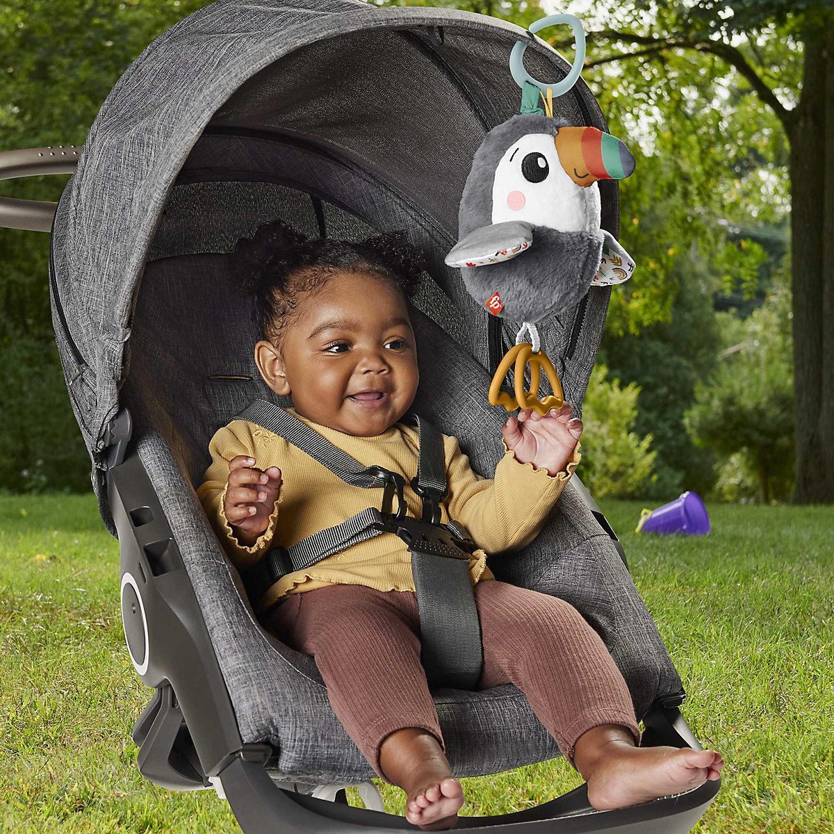 Fisher-Price Tukan To-Go Kinderwagenspielzeug