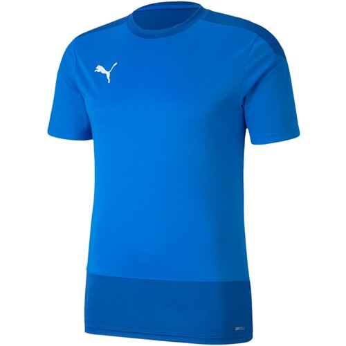 HERREN FANTRIKOT TEAMGOAL 23 TRAINING JERSE