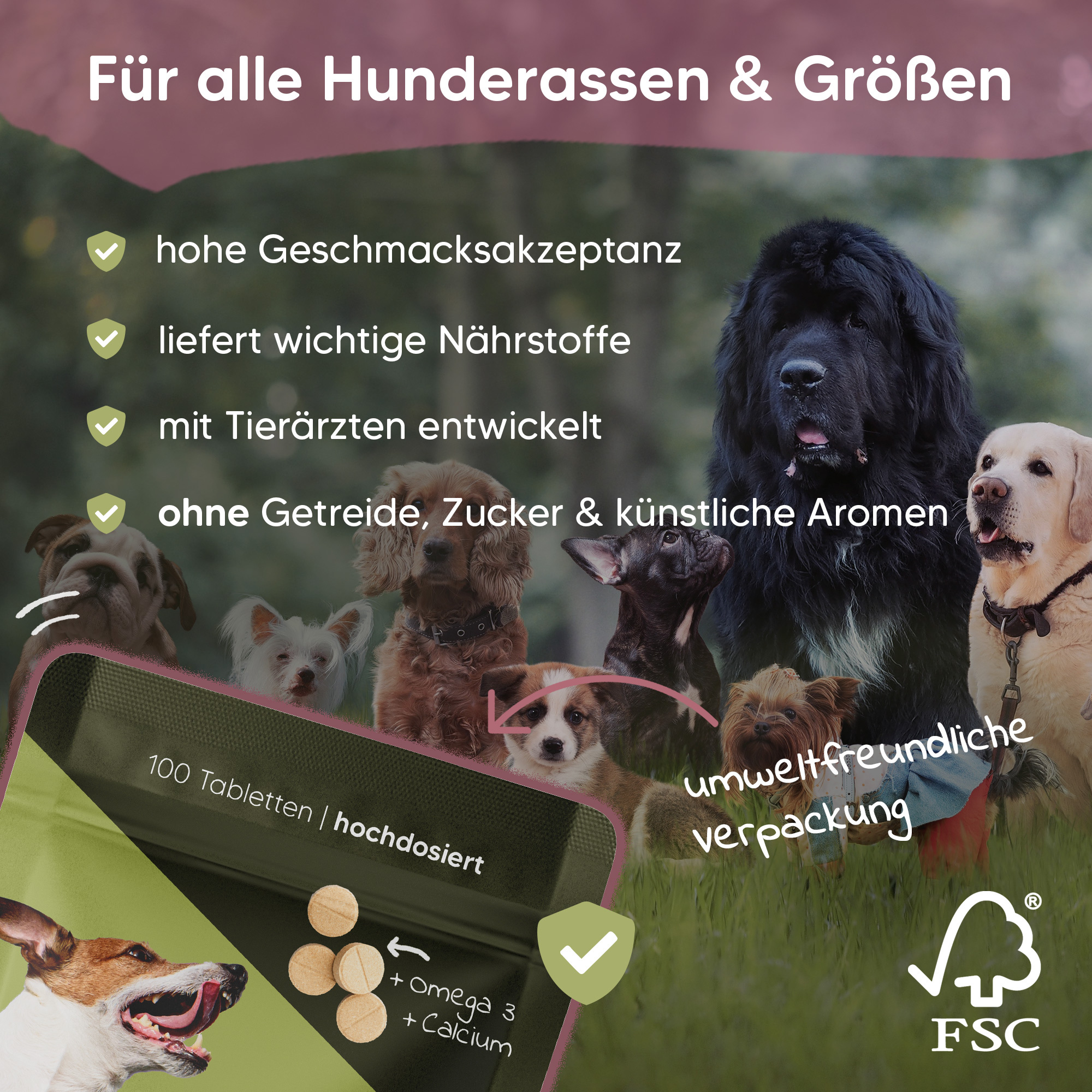 Pawlie's Ergänzungsfutter & Aufzucht Pawlie's Gelenk Fit Tabletten Hund (100 Stück)
