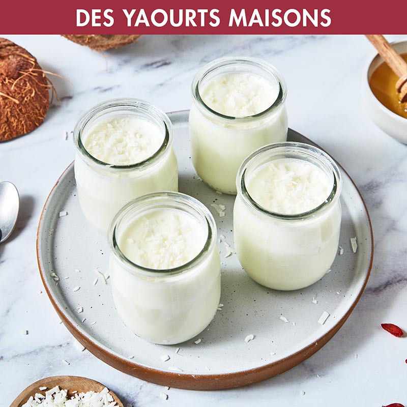 CUISEUR VAPEUR MULTIFONCTION