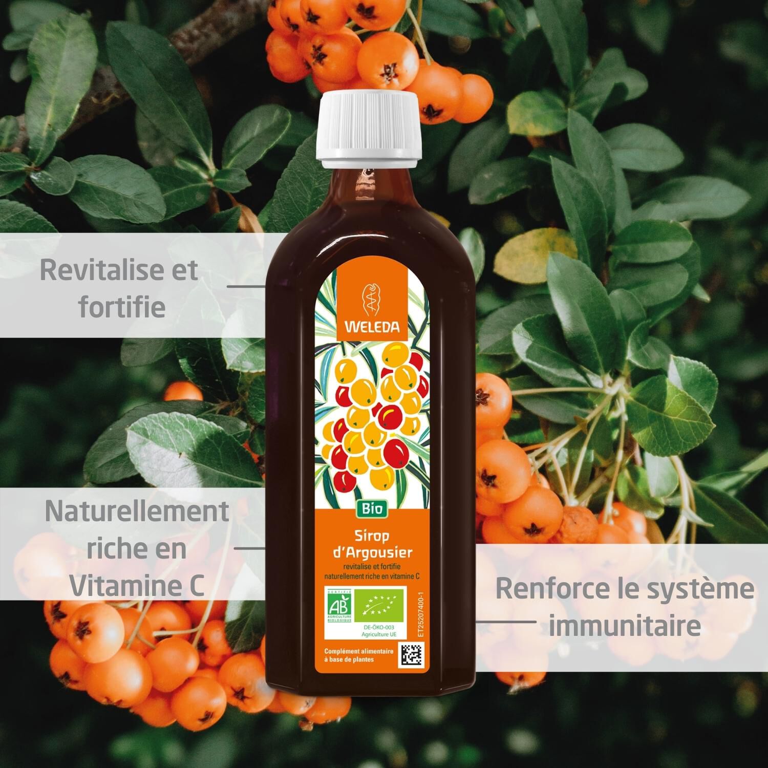 Weleda Sirop d'Argousier Complément Alimentaire Riche en Vitamine C - Fortifie l'Organisme - 250 ml