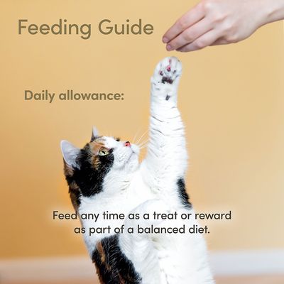 Applaws Cat Loin Makrele