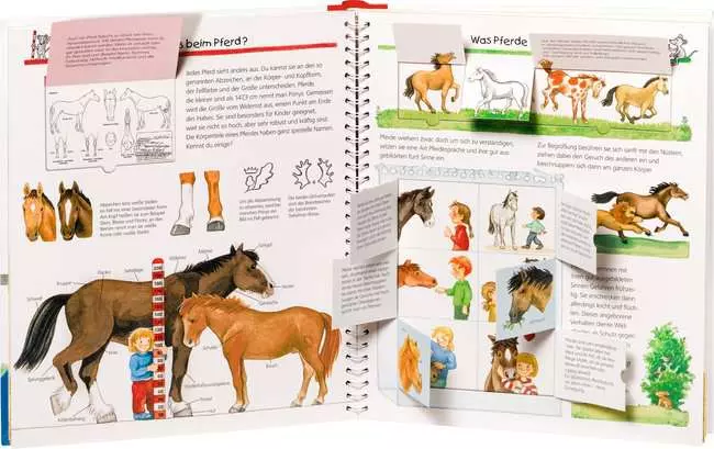 Ravensburger Wieso? Weshalb? Warum?, Band 21: Alles über Pferde und Ponys