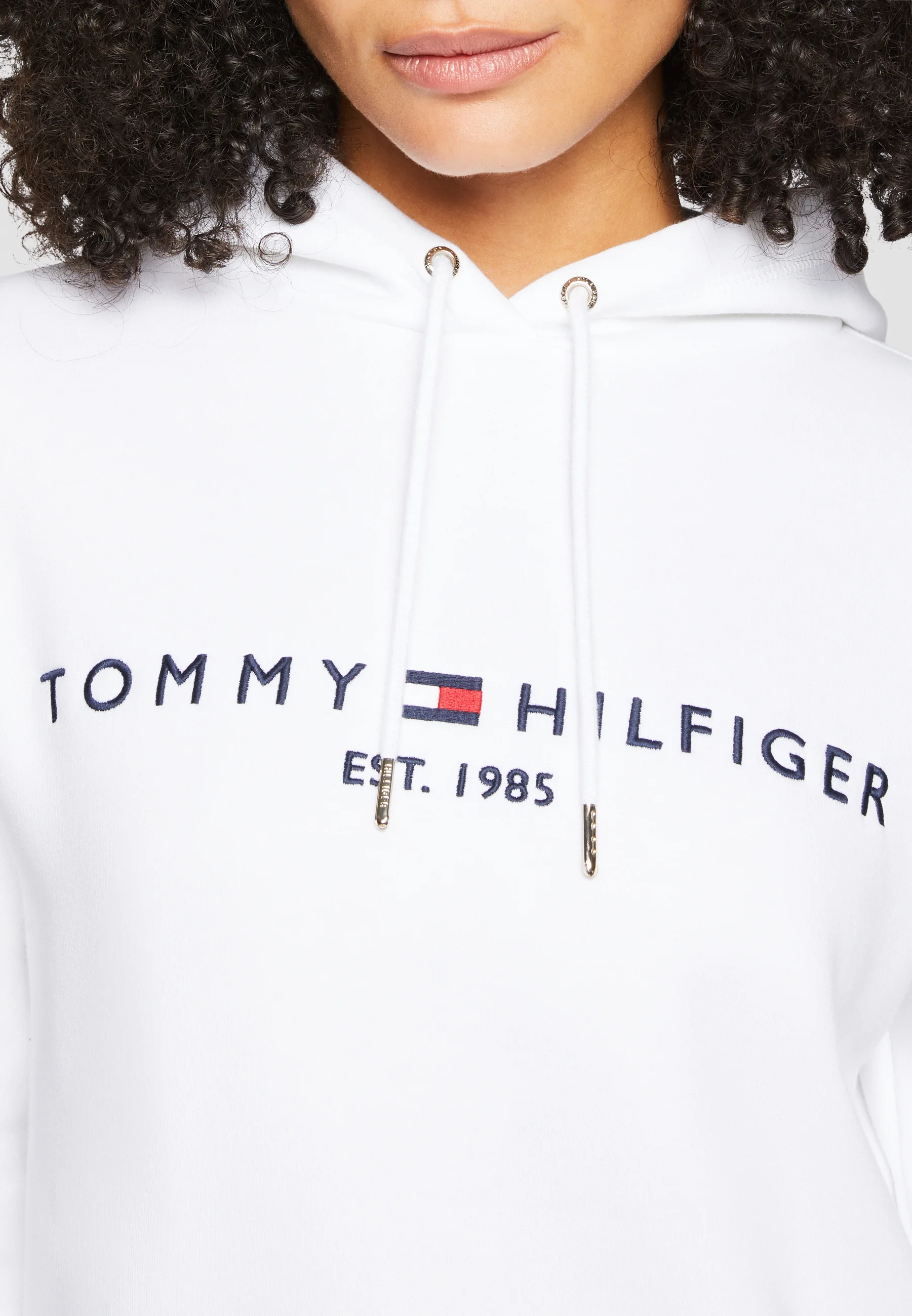 Tommy Hilfiger HILFIGER HOODIE - Sudadera