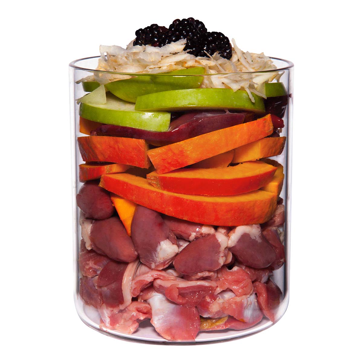 Terra Canis getreidefrei Huhn mit Pastinaken, Brombeeren und Löwenzahn