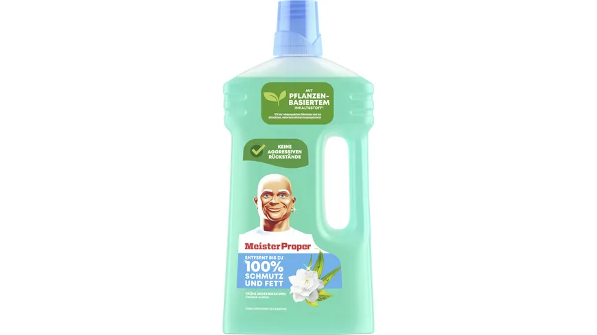 Meister Proper Allzweckreiniger Frühlingserwachen 1 l