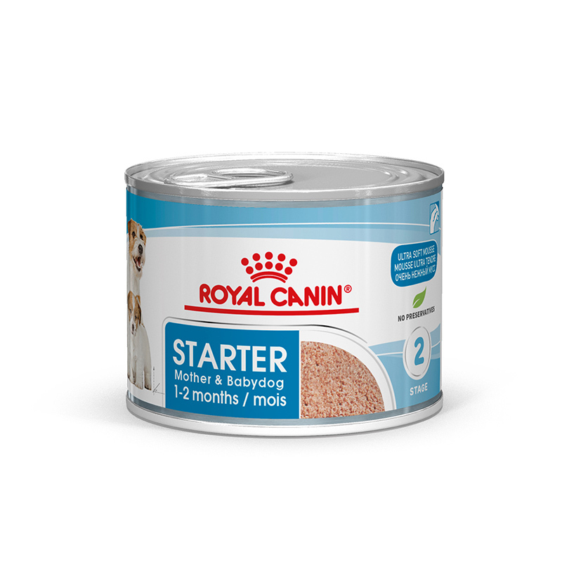 ROYAL CANIN Hundenassfutter ROYAL CANIN Starter Mousse 12x195g