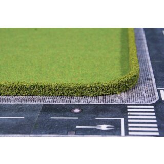 Ligusterhecken 12 x 7 mm je 50 cm lang (2 Stk.)