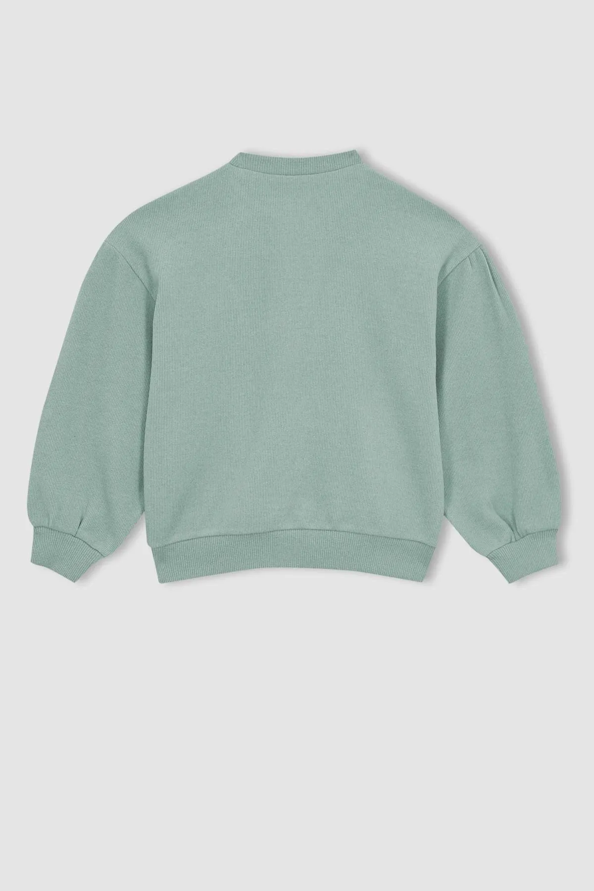 DeFacto  Sweatshirt mit Rundhalsausschnitt für Mädchen - Y8473a622wn