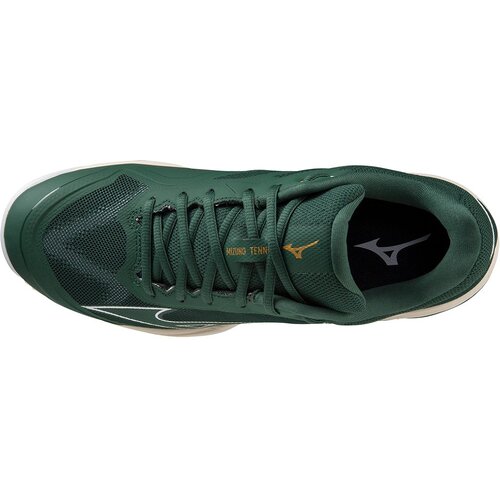 HERREN TENNISOUTDOORSCHUHE WAVE EXCEED LIGHT CC(M)