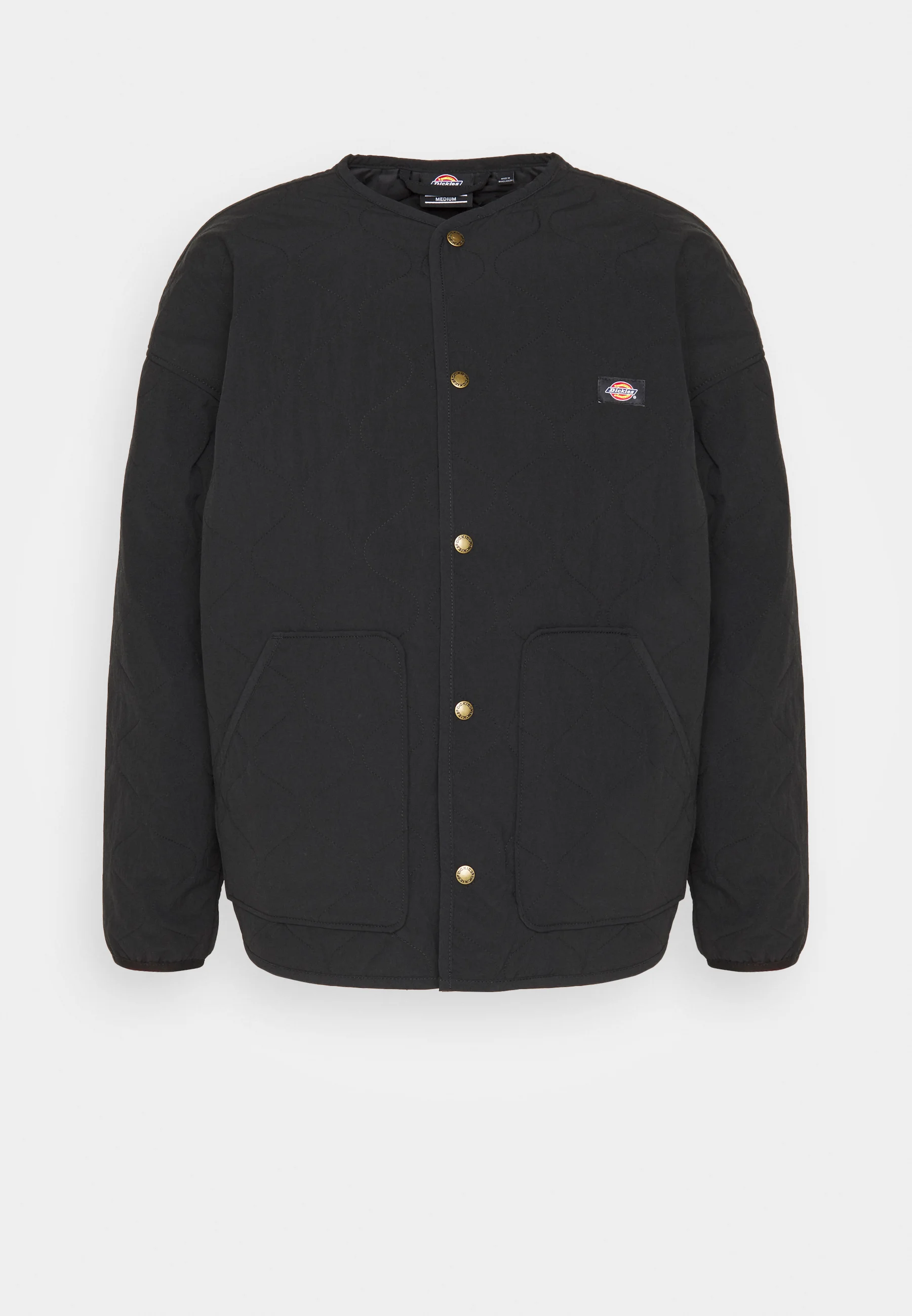 Dickies THORSBY LINER JACKET UNISEX - Chaqueta de entretiempo