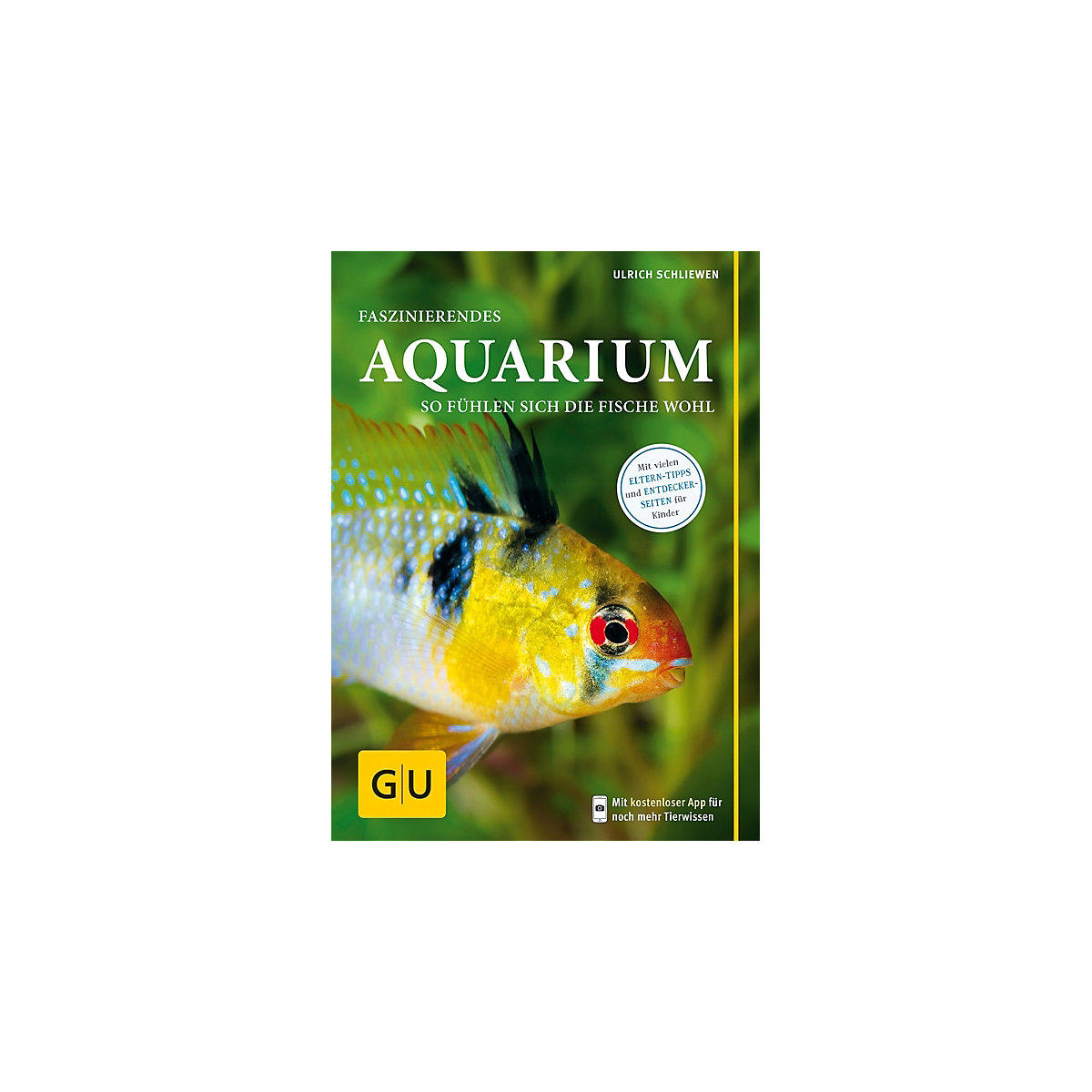 Faszinierendes Aquarium
