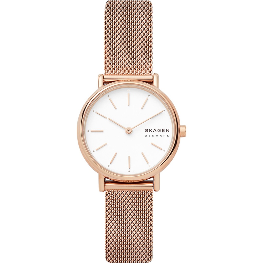 Skagen Montre pour femme Acier inoxydable Montre