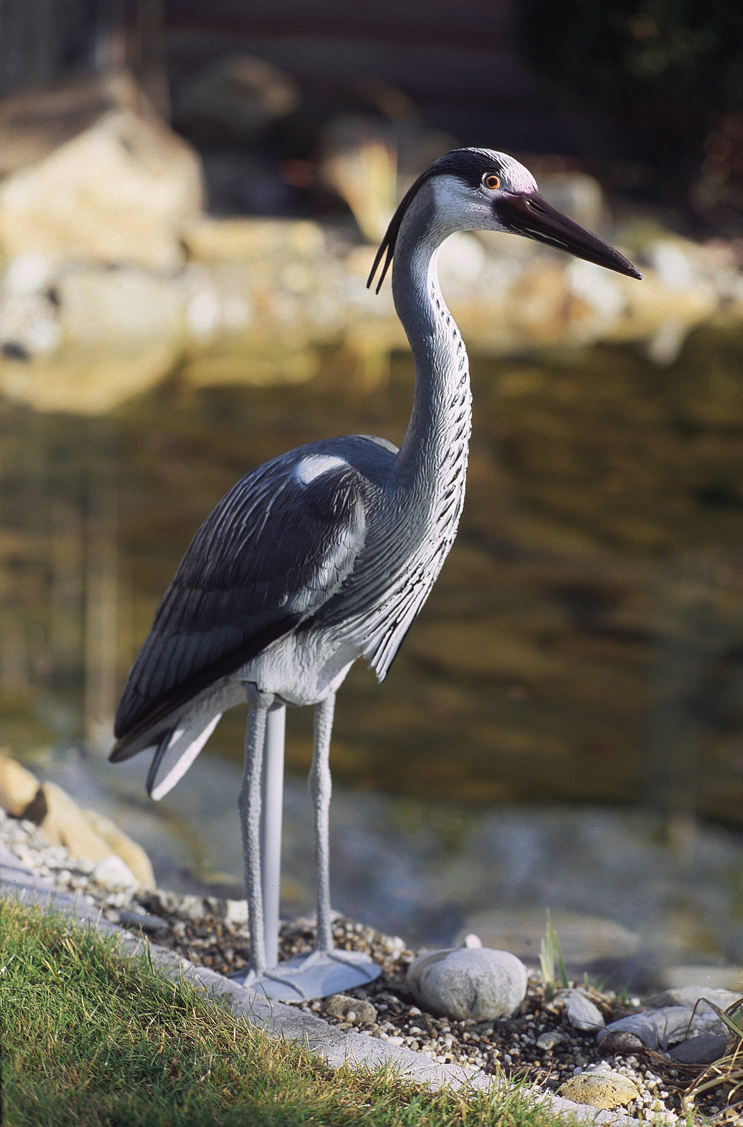 OASE Teichfigur, Fischreiher