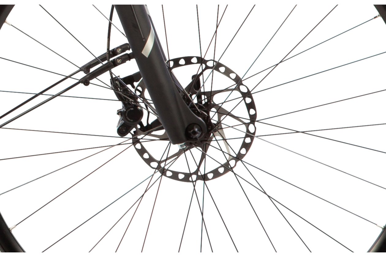 Carver Tour E.340 - 500 Wh - Auslaufmodell - 28 Zoll - Damen Sport