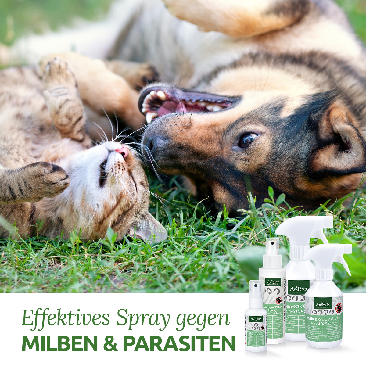 Aniforte Floh- & Zeckenmittel Aniforte Milben-STOP Spray für Hunde und Katzen 100 g