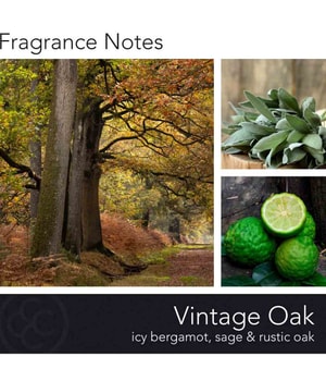Colonial Candle Signature Vintage Oak Duftkerze-425 g