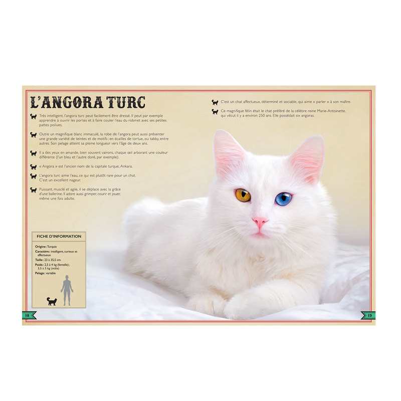 Livre Le livre extraordinaire des chats - Little Urban