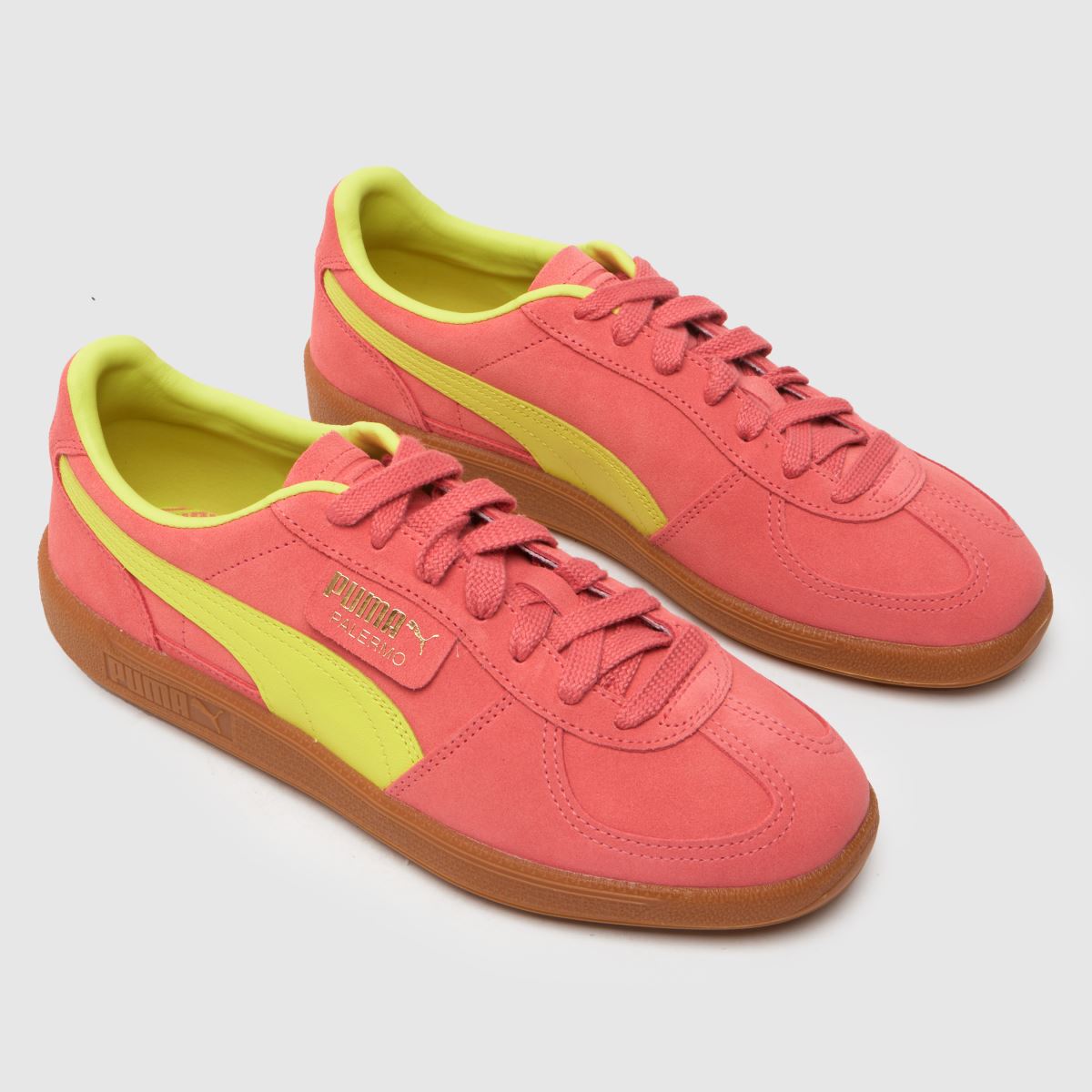 PUMA – Palermo – Orangea träningsskor i flerfärgat