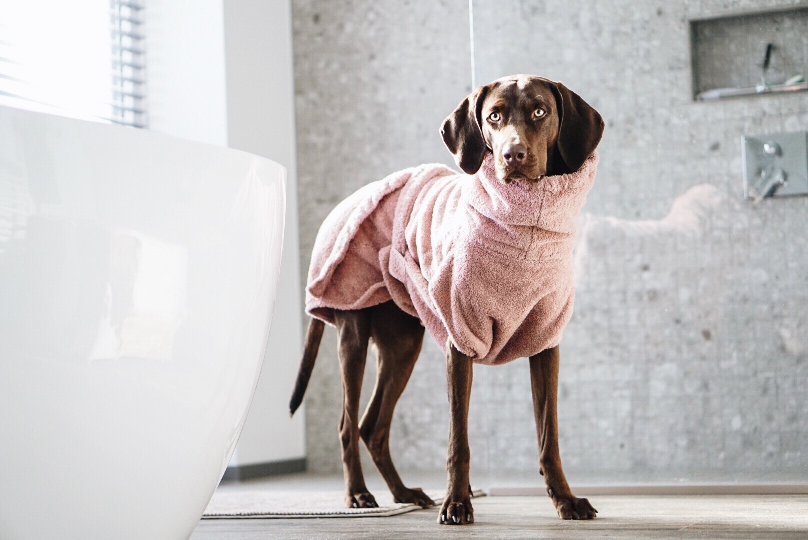 Lills Hundemäntel Lills Lill's Hundebademantel 